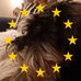 Profile Picture of Nicky Sharp (@nicky.sharp.96) on Facebook