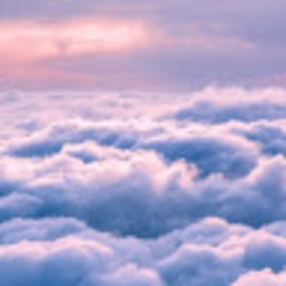 Bella Mayorca - Poshmark Profile Picture of Bella Mayorca (@bella_mayorca) on Poshmark