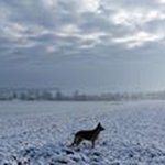 Profile Picture of Wilhelm Griesbach (@mira122010) on Instagram