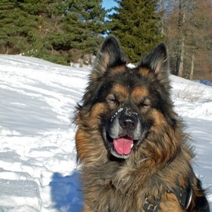 Profile Picture of Florence Serra (@florence-serra) on Myspace