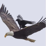 Profile Picture of Brianna Nguyen (@BriannaNguyen-u6v) on Youtube