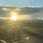 Darius Kevin Feret - Instagram Profile Picture of Darius Kevin Feret (@darius_federline96) on Instagram