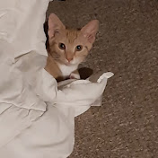 Profile Picture of Christopher Hurst (@christopherhurst2588) on Youtube