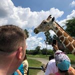 Profile Picture of Brian Swallow (@brian.swallow.549) on Instagram
