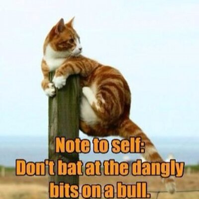 Profile Picture of Shad Daniel (@daniel_shad) on Twitter