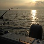 Profile Picture of Chris Cormier (@cormier8769) on Instagram