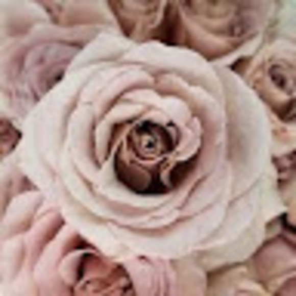 Profile Picture of Kira Shultis (@kirashultis) on Poshmark