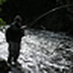 Profile Picture of John Humphries (@jwhump) on Flickr