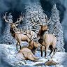 Profile Picture of Mark Pavlovics (@markpavlovics) on Pinterest