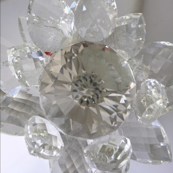 Profile Picture of Maribel Arcos (@maribelarcos) on Poshmark