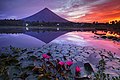 Profile Picture of Albay - Wikipediaon Wikipedia