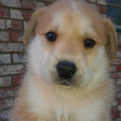 Profile Picture of Bryan Fountain (@FountainBryan) on Twitter