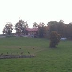 Profile Picture of Eric (@ericjob34) on Instagram