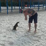 Profile Picture of Samuel Duquette (@samduke666) on Instagram