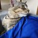 Profile Picture of Hassweeny Subba Rao (@arhas2207) on Pinterest
