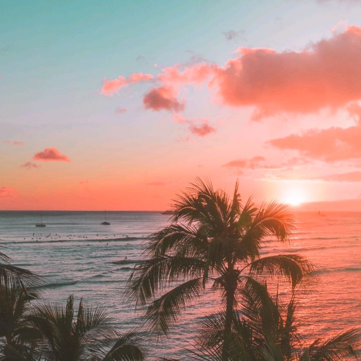 Profile Picture of corine (@@corine_farah) on Tiktok