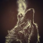 Profile Picture of Kyle Wiegand (@autumns_eve_00) on Instagram