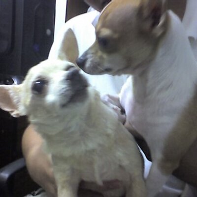 Profile Picture of Hong Gao Qiang (@waiyaki) on Twitter