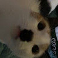 Profile Picture of Ivy Vargas (@ivy-vargas-15) on Quora