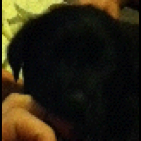 Leann Hawksworth - Poshmark Profile Picture of Leann Hawksworth (@hawksworth21) on Poshmark