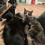 Profile Picture of James Bynum (@jr_markov) on Instagram