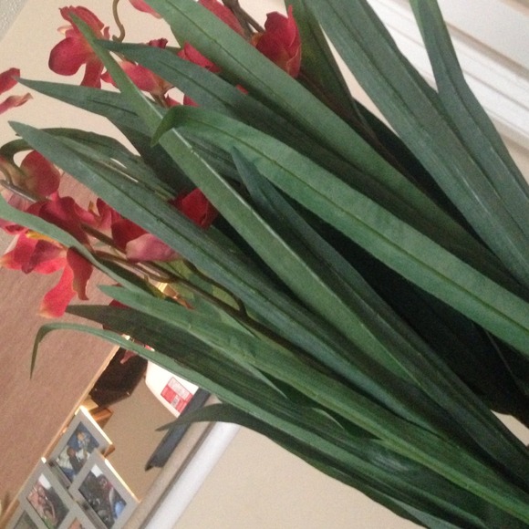 Profile Picture of Spivey Lloyd (@51planet) on Poshmark