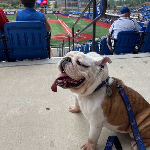 Profile Picture of Caroline Clifton (@cliftonc11) on Poshmark