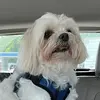 Profile Picture of TK (@terrikey5) on Tiktok