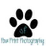 Profile Picture of Ashley Higgins (@pawprintphotographySF) on Flickr