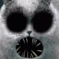 Profile Picture of Myles Walsh (@myles-walsh-6) on Quora