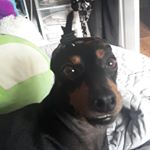 Profile Picture of Lance Lancaster (@super_odd_comics) on Instagram