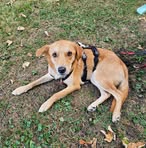 Profile Picture of Andy Raischle (@Andy-Raischle) on Facebook