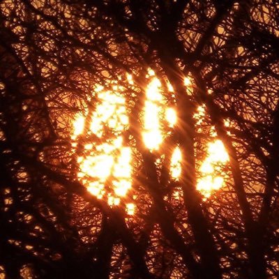 Profile Picture of Peter Mulder (@PeterAlfredMul) on Twitter