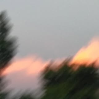 Profile Picture of Tamim Bin Kobir (@barrycalton) on Instagram