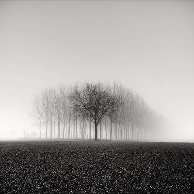 Profile Picture of Eric Dupras (@eric_edupras) on Twitter