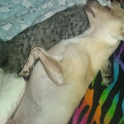 Profile Picture of Hailey Kasper (@haileykasper616) on Youtube