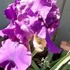 Profile Picture of Gail Stephens (@gail.stephens5) on Tiktok