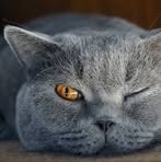 Profile Picture of Люся Ткачук (@Люся-Ткачук) on Facebook