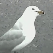 Profile Picture of Alexander Ayad (@toastgaming8699) on Youtube