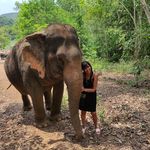 Profile Picture of Paula Singer Berman (@plobitoff) on Instagram