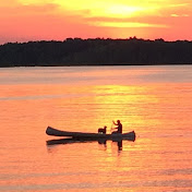 Profile Picture of David Navratil (@Stag_Beetle) on Youtube