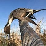 Profile Picture of chase lamusga (@victoriaofita9916) on Instagram