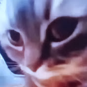 Profile Picture of Larry Hacker (@larryhacker-dt4vp) on Youtube