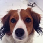 Profile Picture of Doris Hangartner (@doris.hangartner) on Facebook