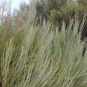 Profile Picture of D Gibbs (@dgibbs379) on Youtube