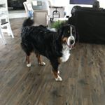 Profile Picture of Isaac Friesen (@isaacfriesen74) on Instagram