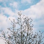 Profile Picture of Michelle Rose Goodwin (@shelly___takespics) on Instagram