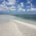 Profile Picture of Jason Slabach (@papajason1) on Instagram