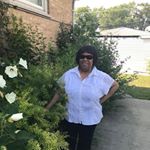 Marlene Abraham - Instagram Profile Picture of Marlene Abraham (@marlene.abraham.332) on Instagram