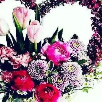Profile Picture of Roselyn Singh (@roselyn44214262) on Twitter